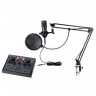 Комплекты для звукозаписи FOIX V9Xpro+BM800 91712
