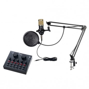 Звуковые карты и интерфейсы FOIX V8+BM800 95066